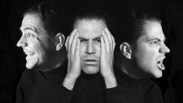Four types of bipolar disorder