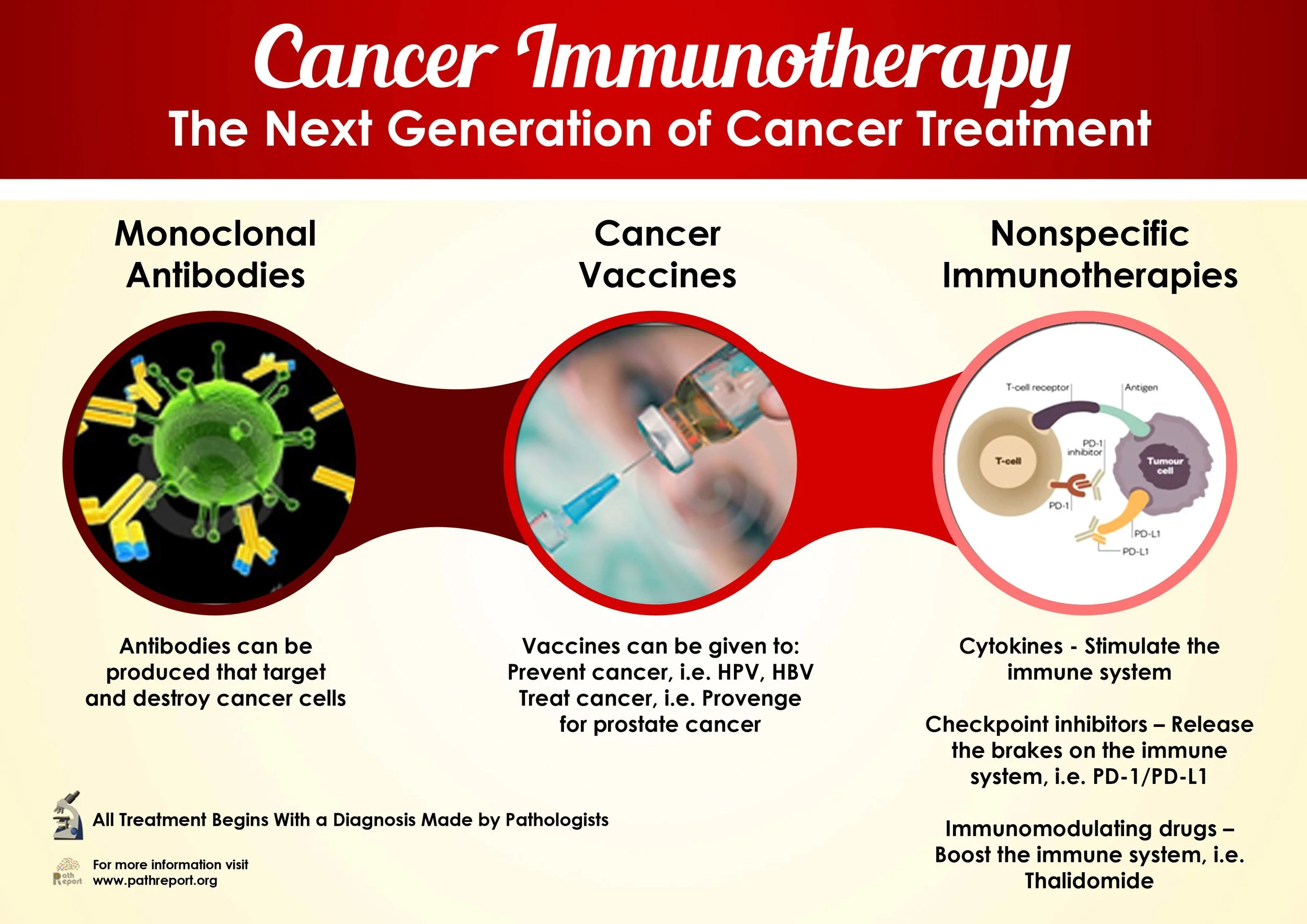 Promise Seen in Pancreatic Cancer through Immunotherapy