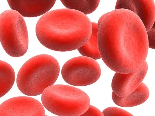 Signs and Symptoms of Anemia