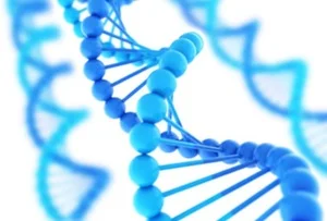 Research in Canada: The 'Google Map of Cancer Cells' Could Help Fight Prostate Cancer Tumors