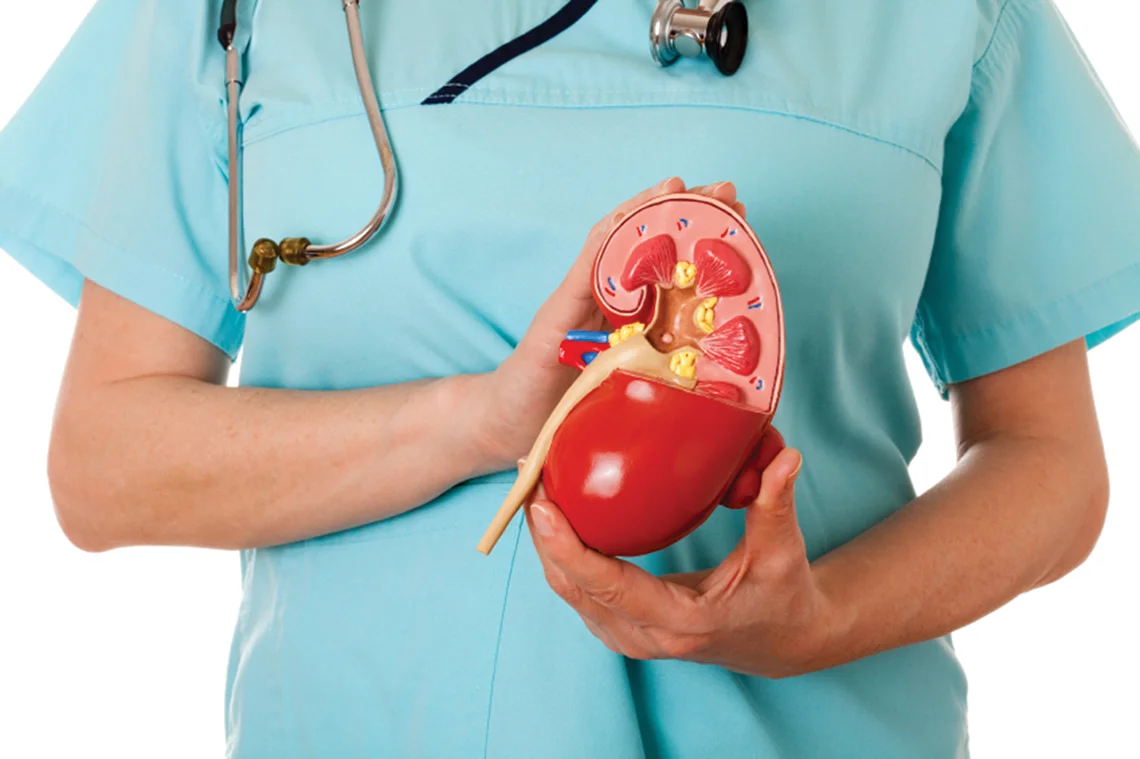 Understanding Chronic Kidney Disease