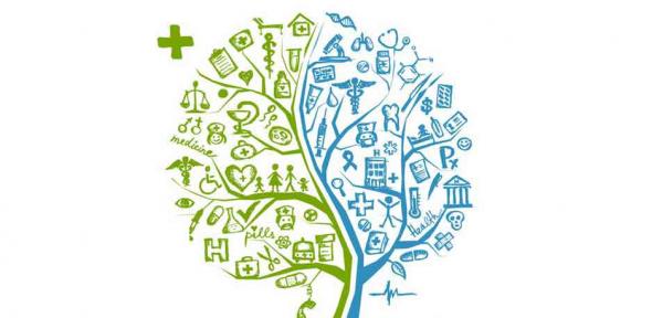 Autoimmune diseases are one of the leading causes of suffering in the world