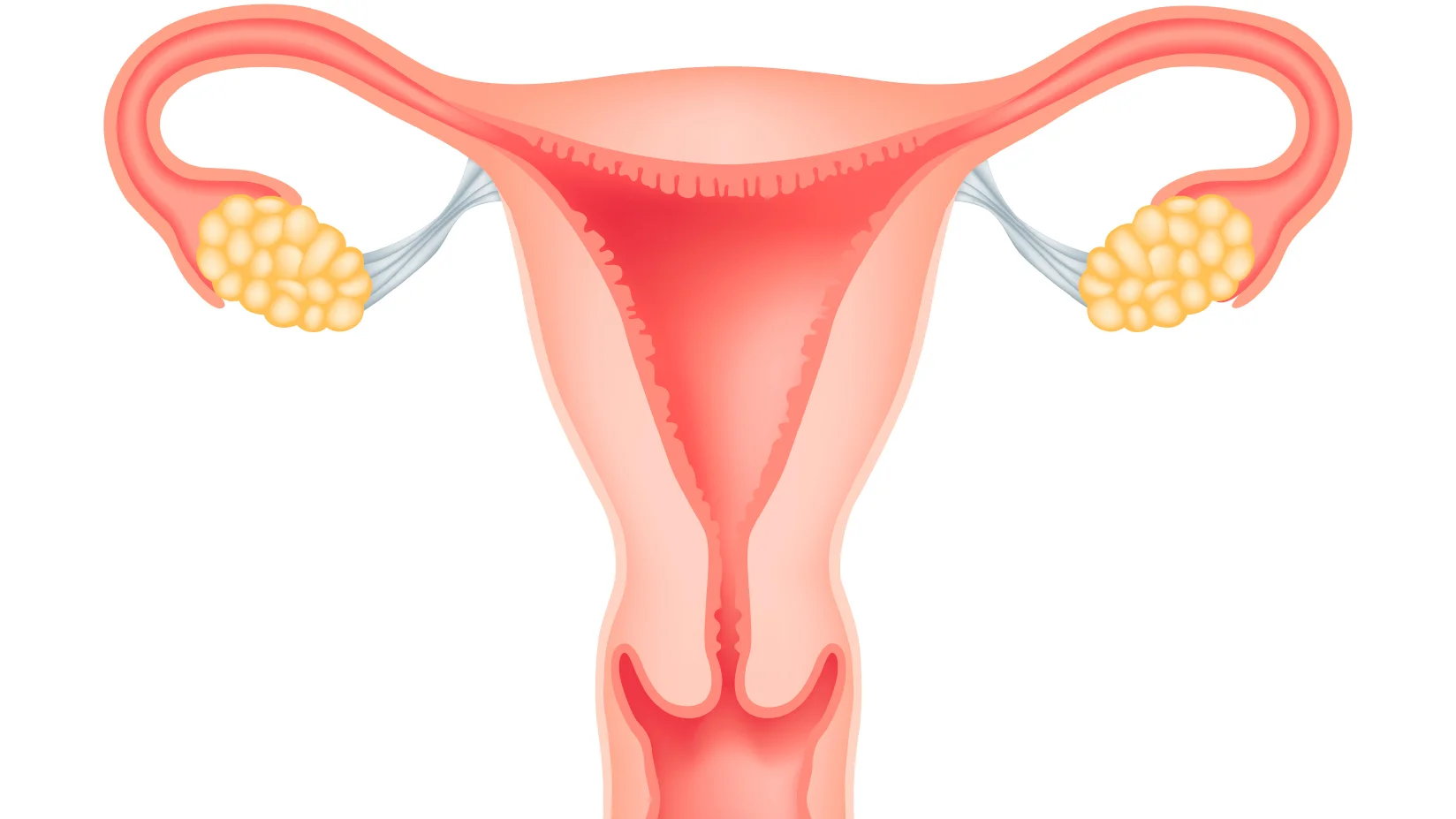 Women's Health: Learn About Uterine Cancer