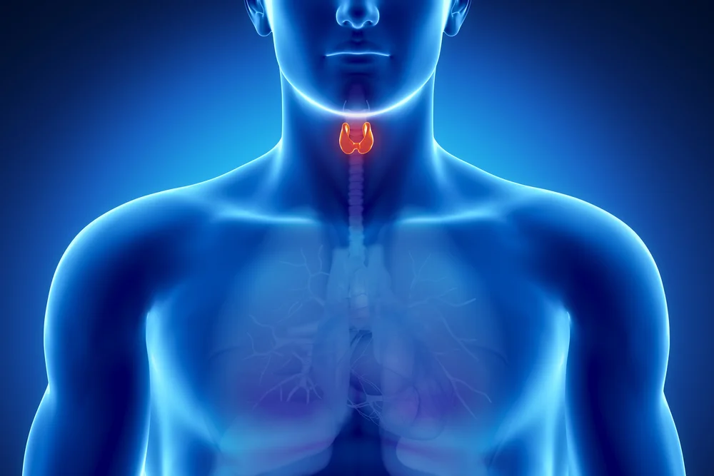 What is hyperthyroidism?