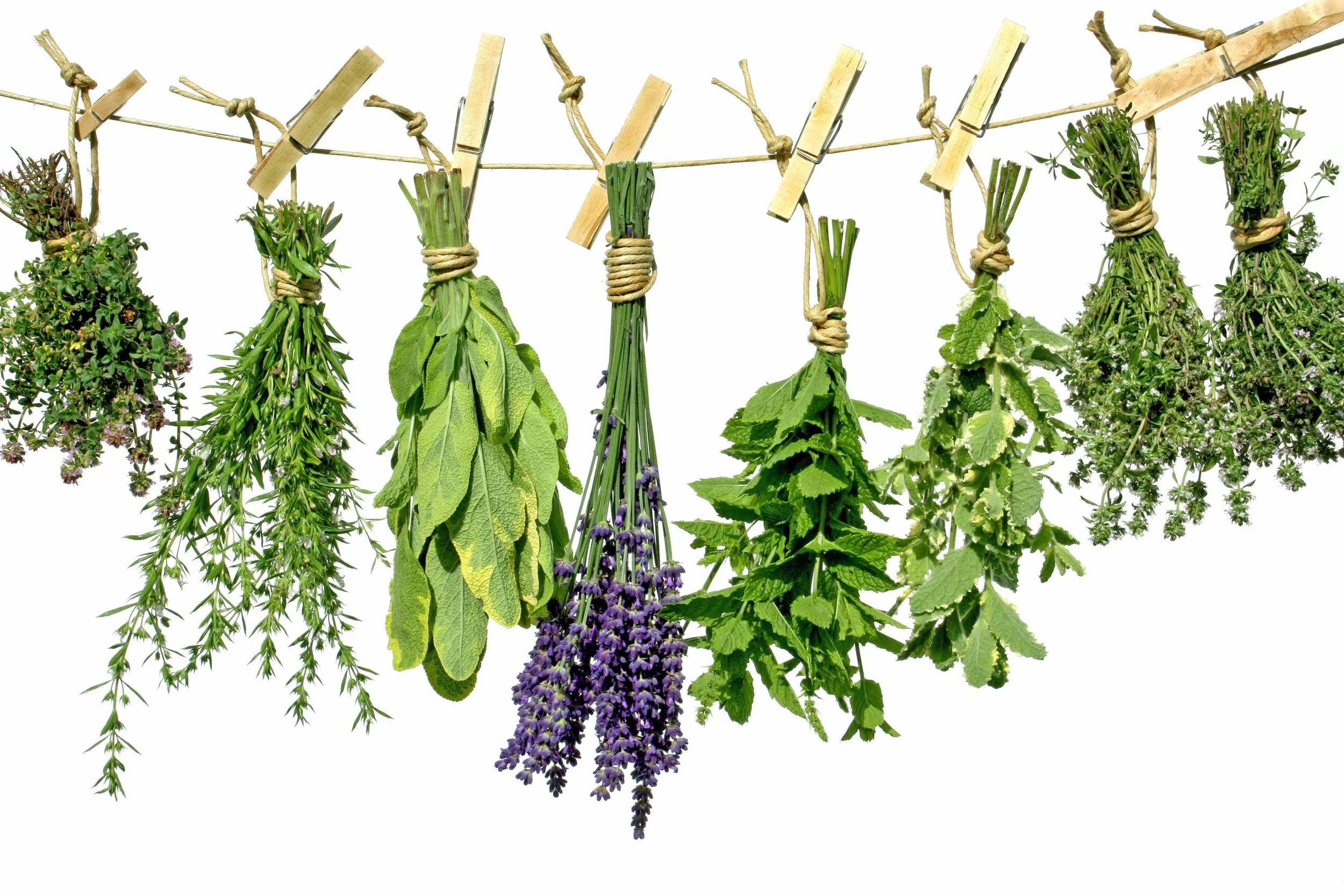Amazing Health Benefits of Herbs