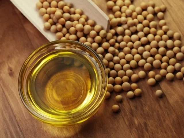 Soybean Oil May Lead to Weight Gain
