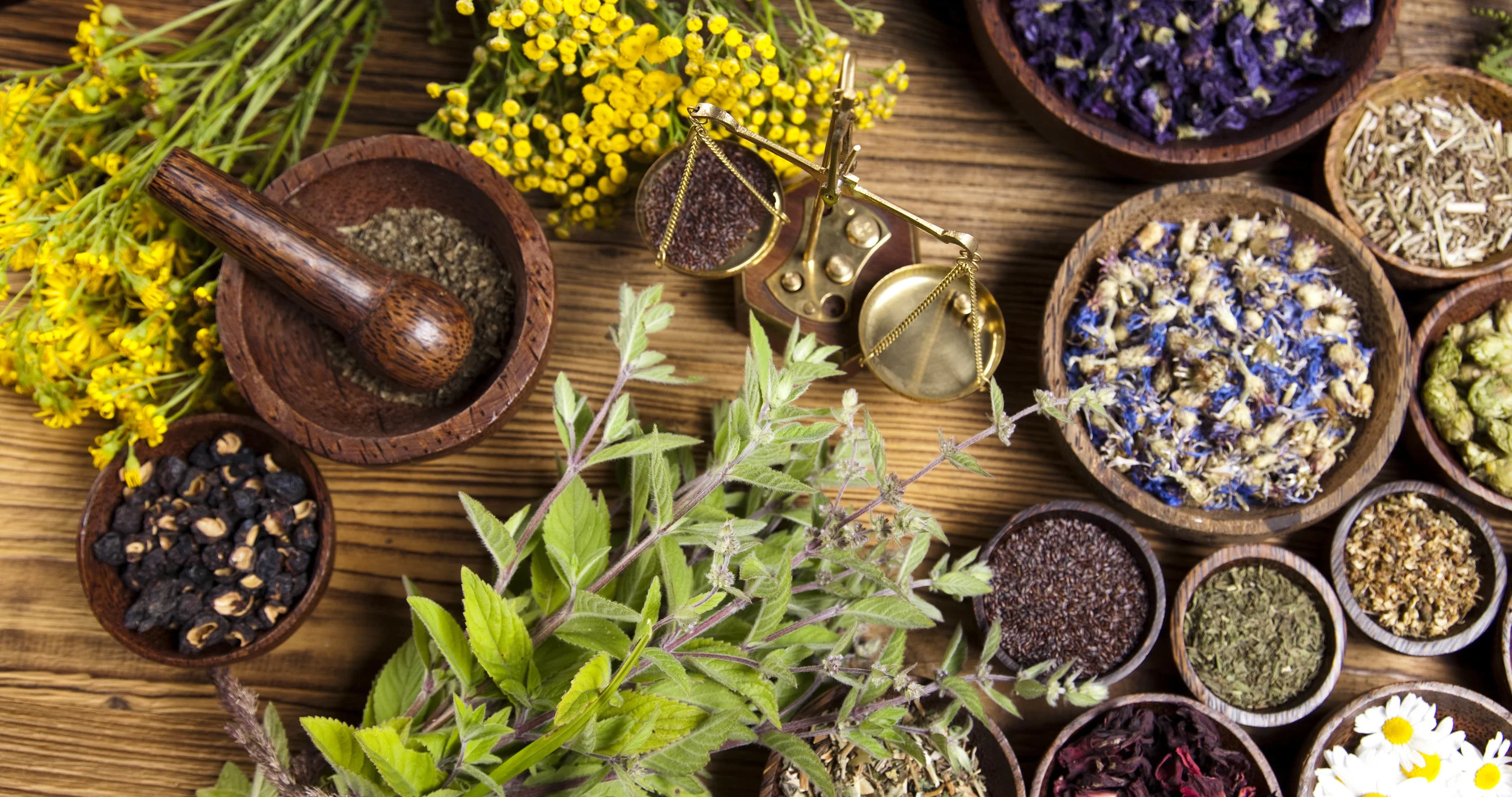 You Can Grow Your Own Herbal Medicine