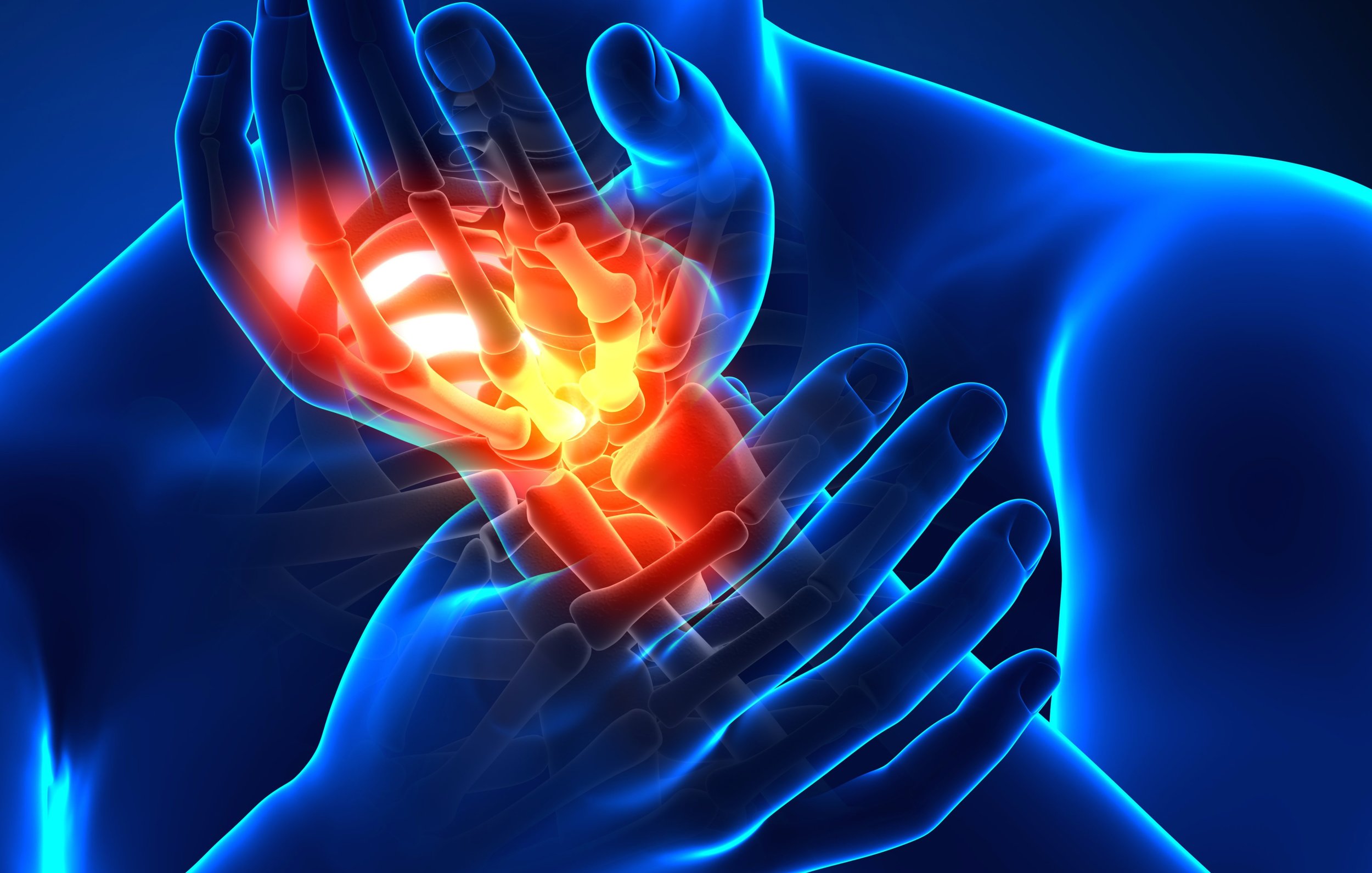 The Inflammation Guide