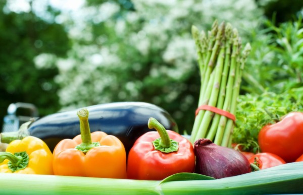 7 Cost-Effective Ways to Lose Weight