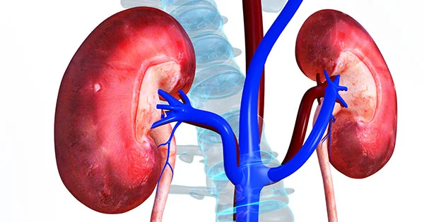 Signs of Kidney Disease