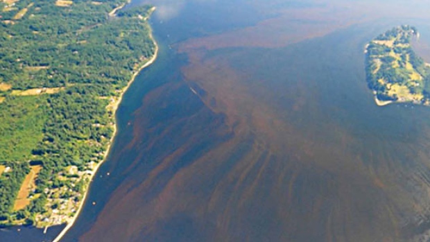 Toxic Algae On West Coast Affecting Seafood