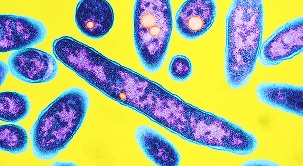10 ESSENTIAL FACTS ABOUT LEGIONNAIRES’ DISEASE