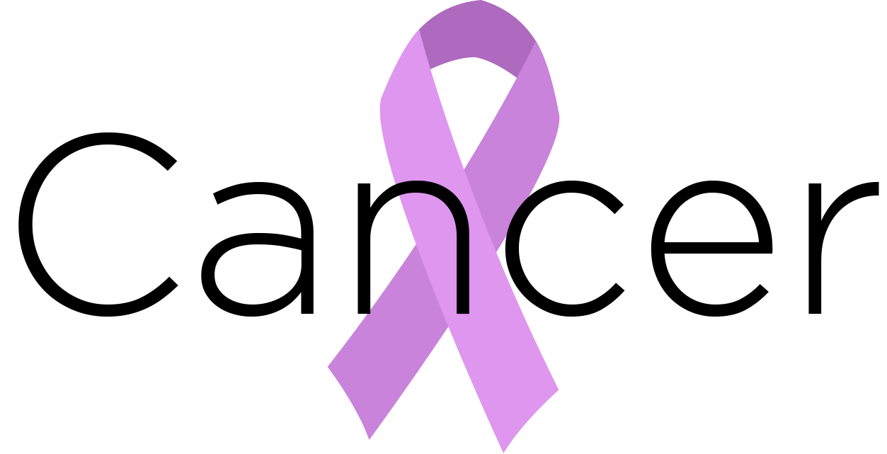 Best Cancer Fighting Foods
