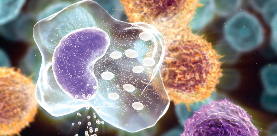 Quick Facts On Multiple Myeloma