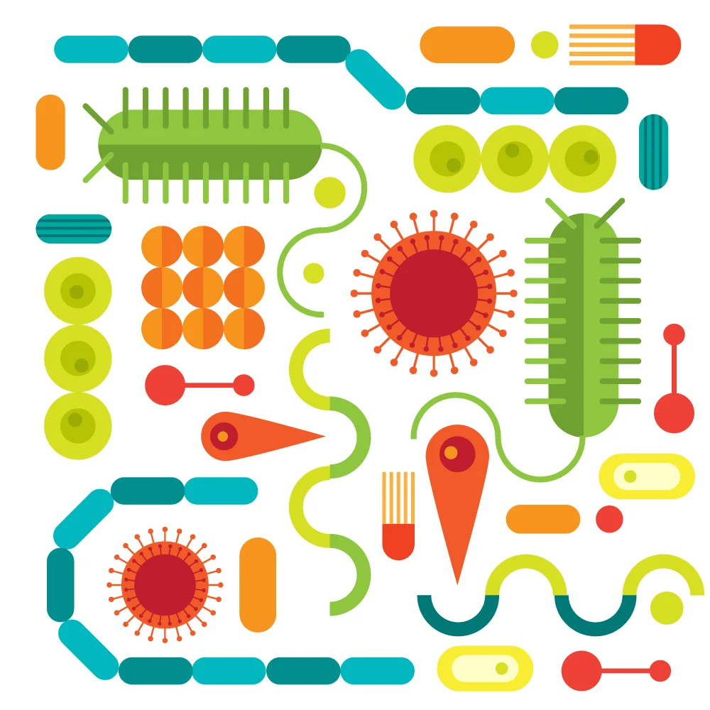 Another Superbug Found at LA Area Hospital