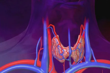 Symptoms of a thyroid disorder