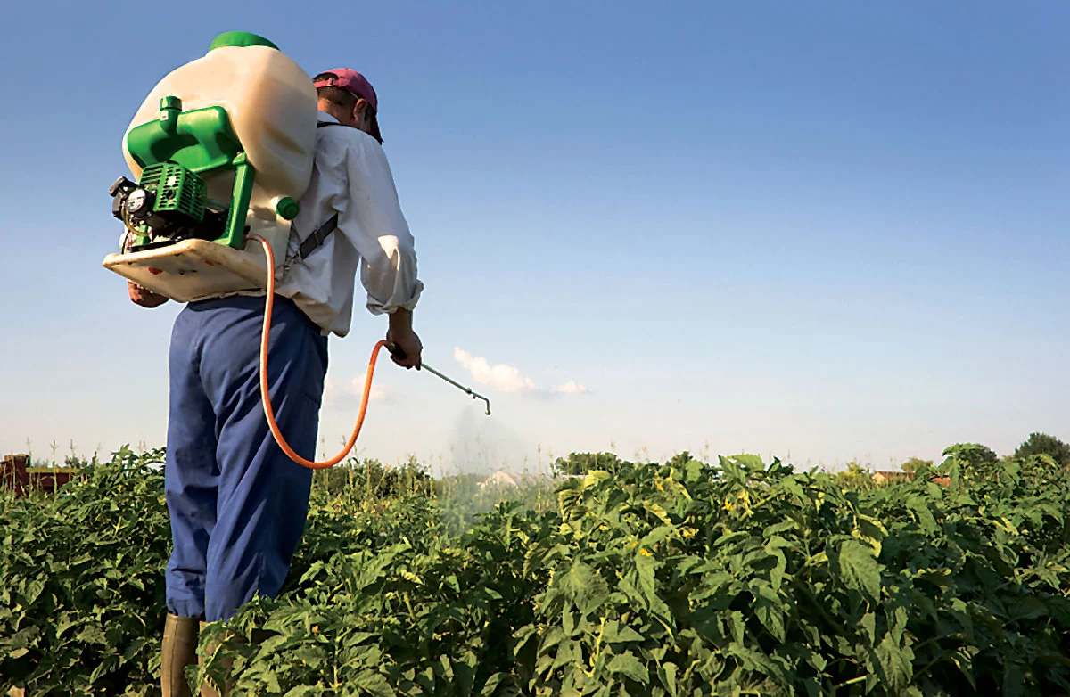 Pesticides may cause cancer in children