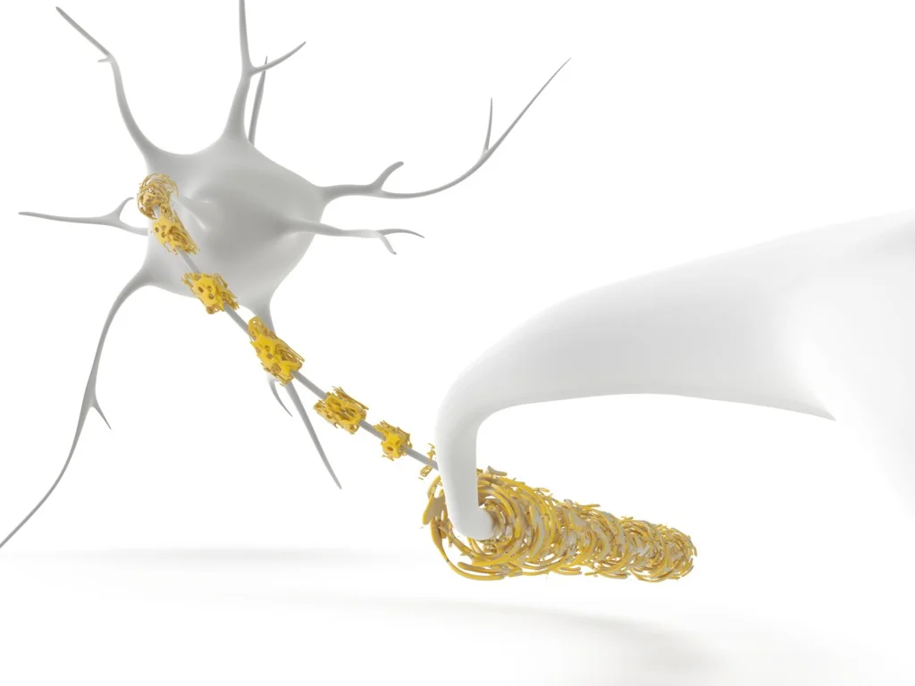 What is Canavan Disease?