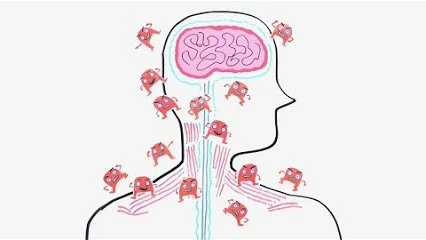 Learning About Autoimmune Disorders