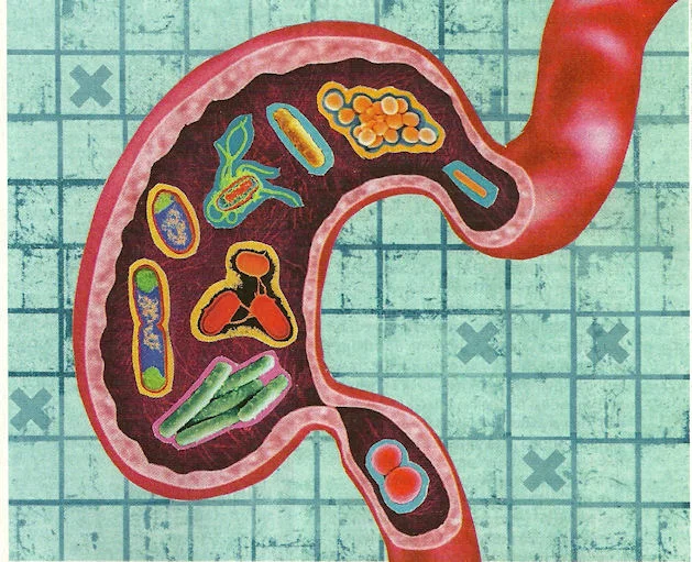 Prebiotics vs. Probiotics