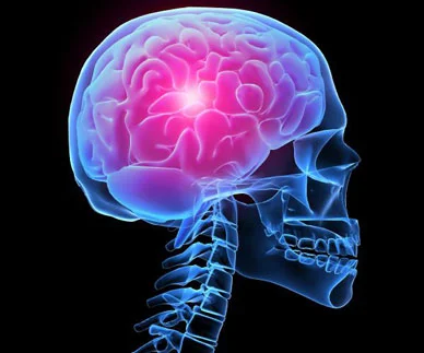 Epilepsy and Seizures