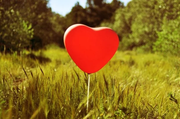 Heart Effects of Saturated Fats May Depend on Overall Diet