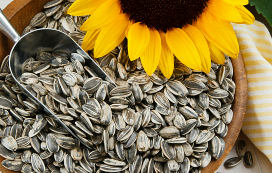 Plant 6 seeds of health into your diet