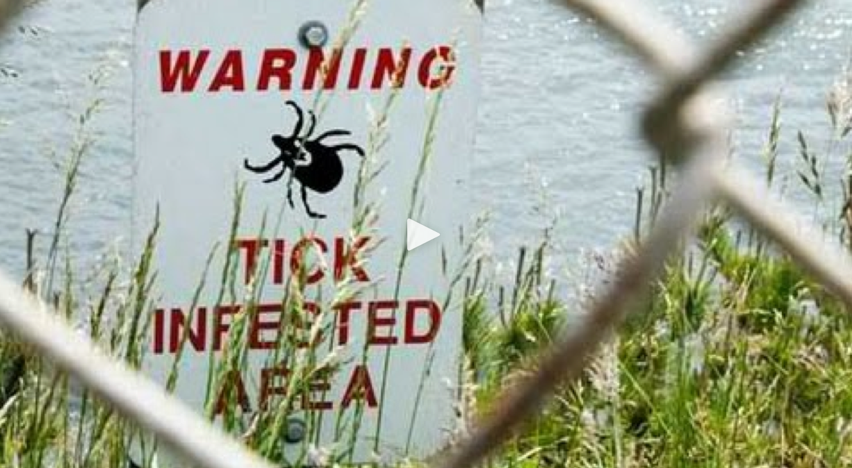  Diagnosing Chronic Lyme Disease: Dr. David Samadi