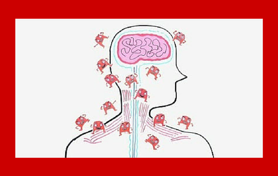 Immune Clue to Preventing Schizophrenia