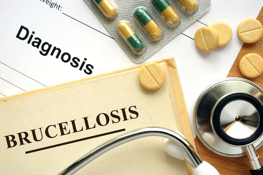 What is Brucellosis?