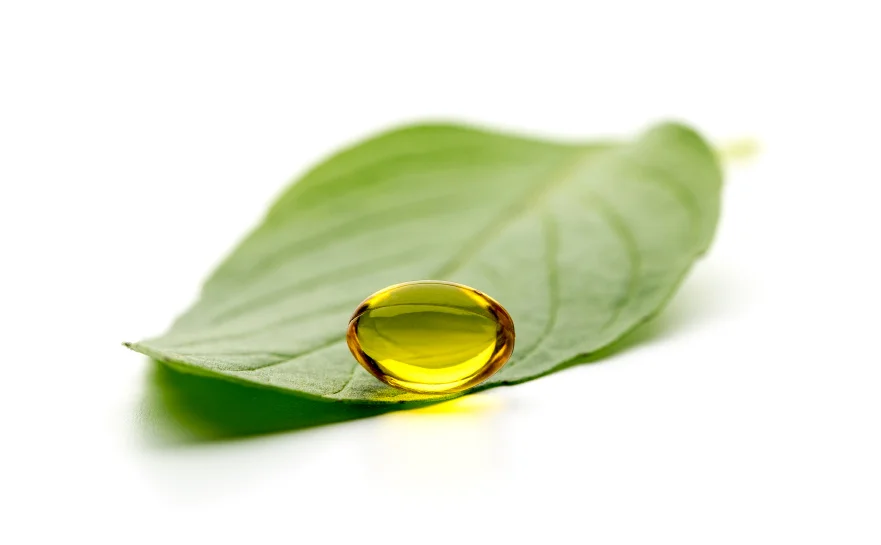 Herbal Remedies for Flu Season