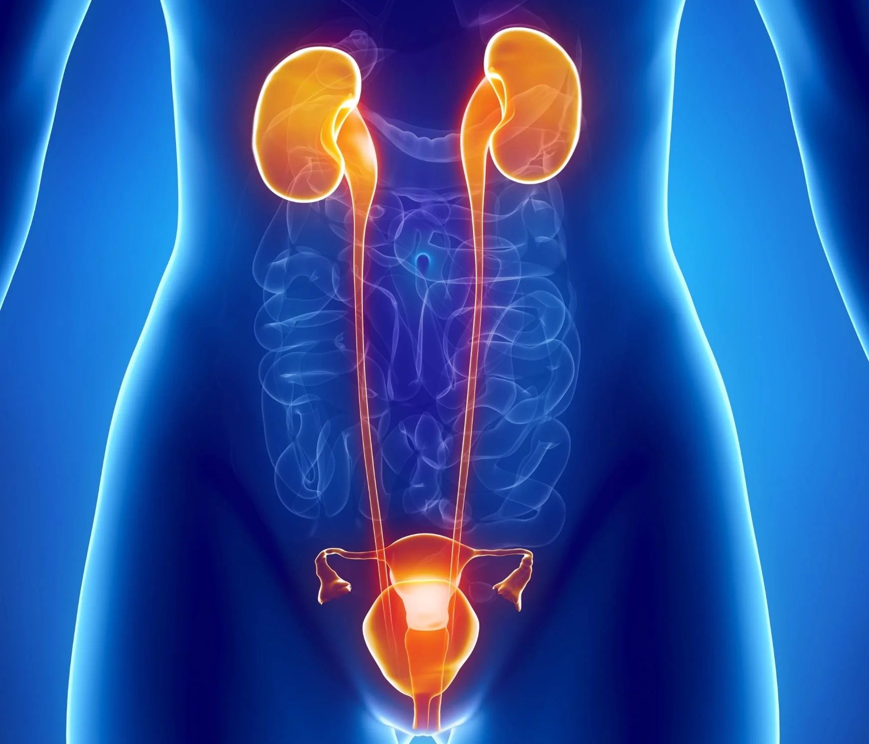 Do you have an overactive bladder