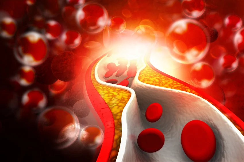 No limit on cholesterol?  Here’s why