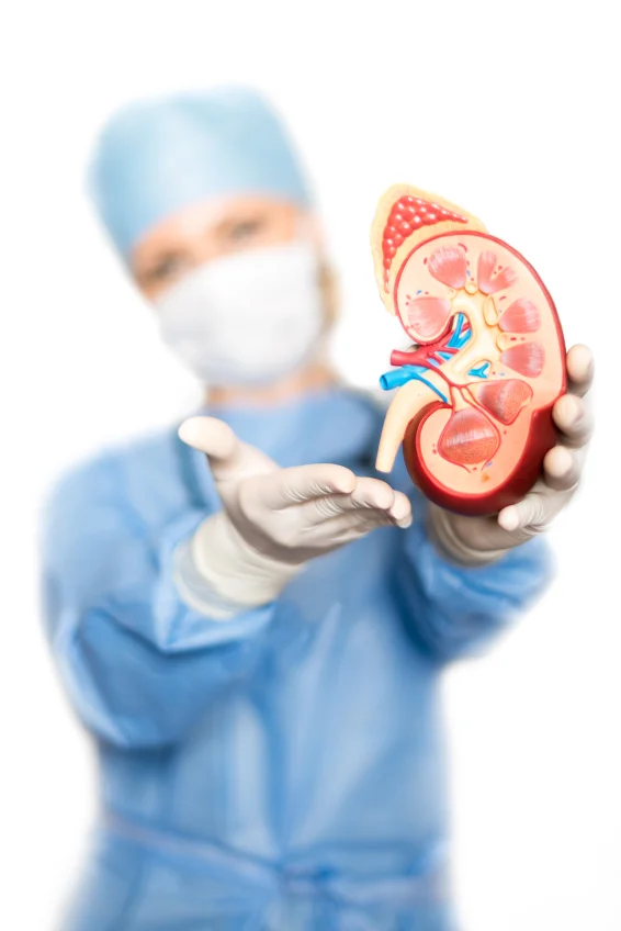 Slow chronic kidney disease with careful food choices