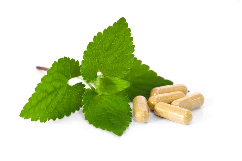 Stress and Anxiety Busting Herbal Remedies