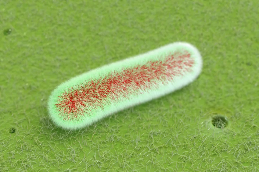 What women need to know about urinary tract infections