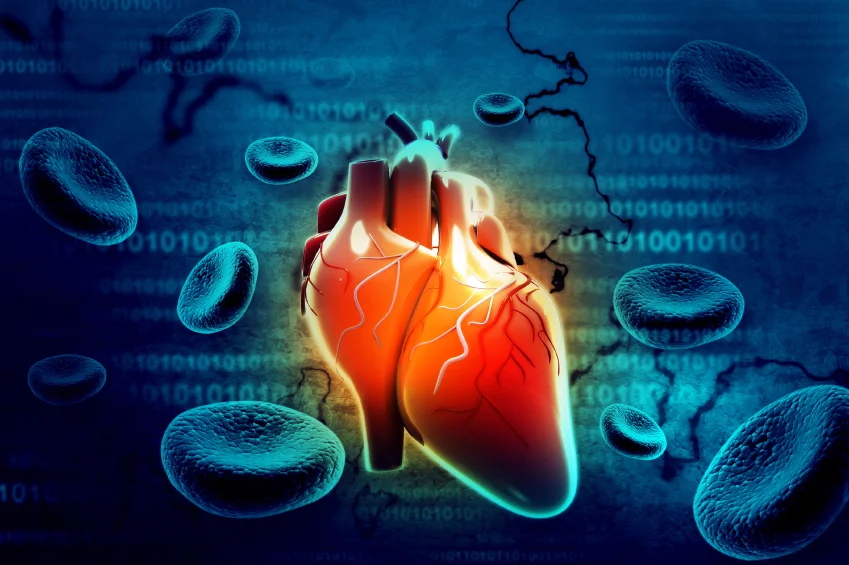 <a><br>9 ways to show your heart how much you love it<a>