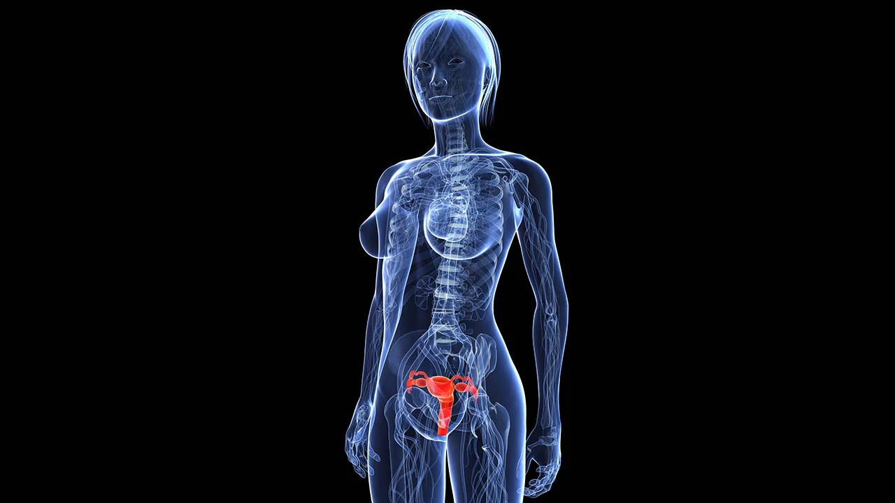First Uterus Transplant Performed in USA