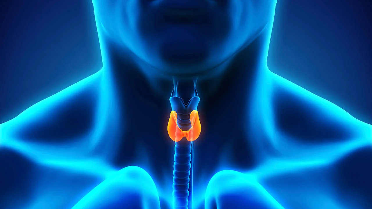 Signs Your Thyroid Isn't Working Right