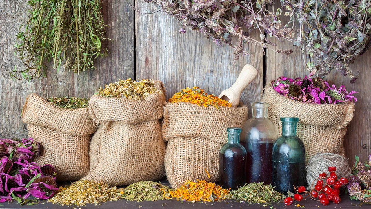 7 herbs to help boost your memory