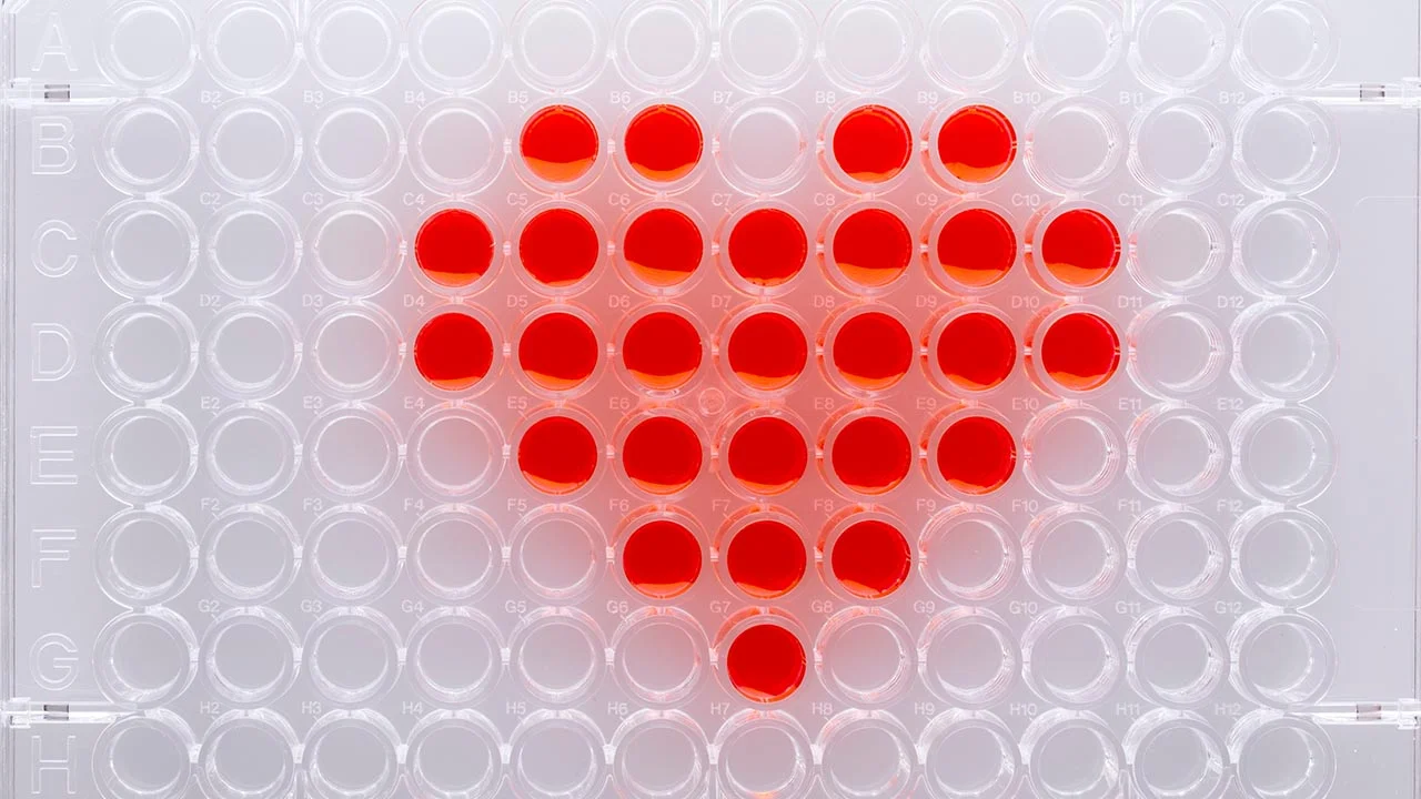 Bioengineering the Human Heart
