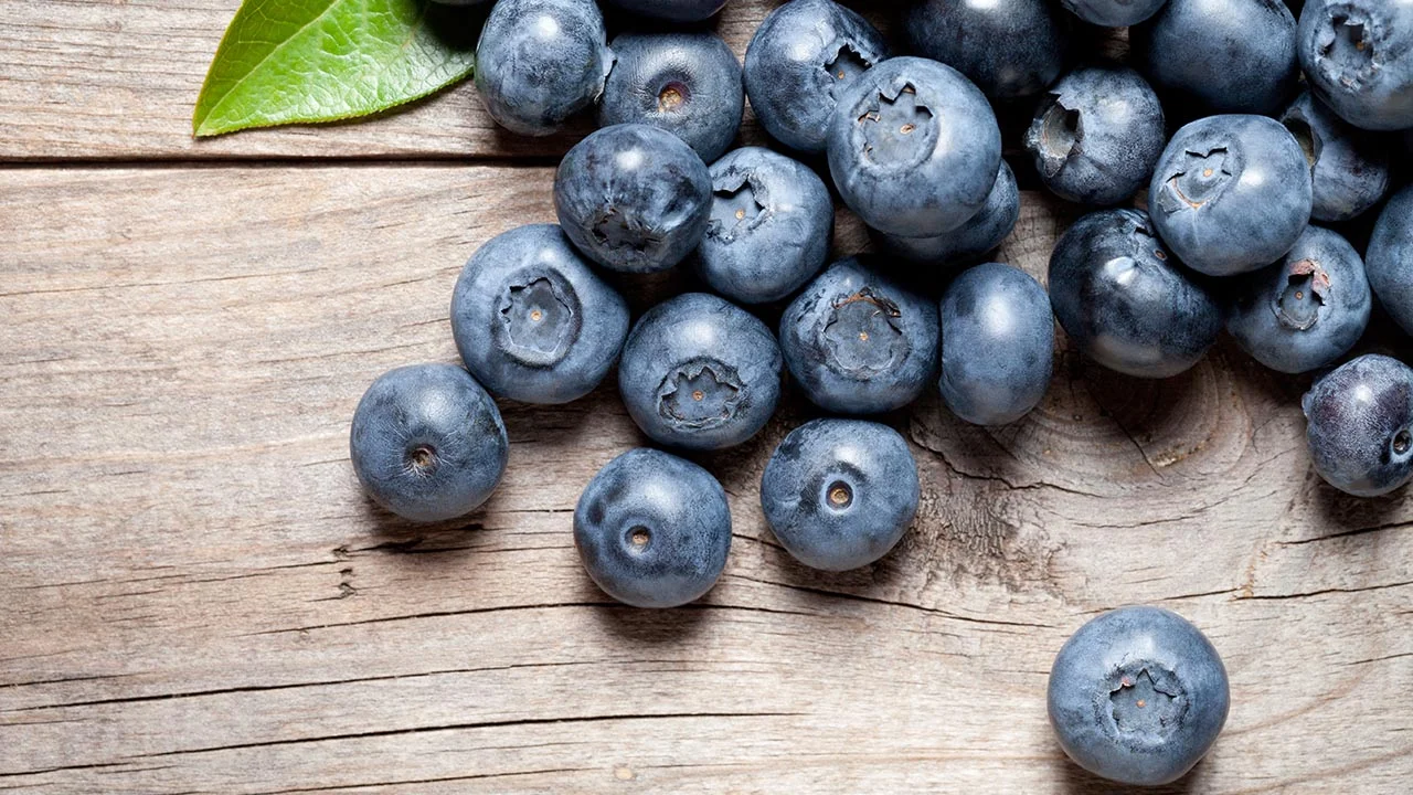 Blueberries in the Battle Against Alzheimer's Disease