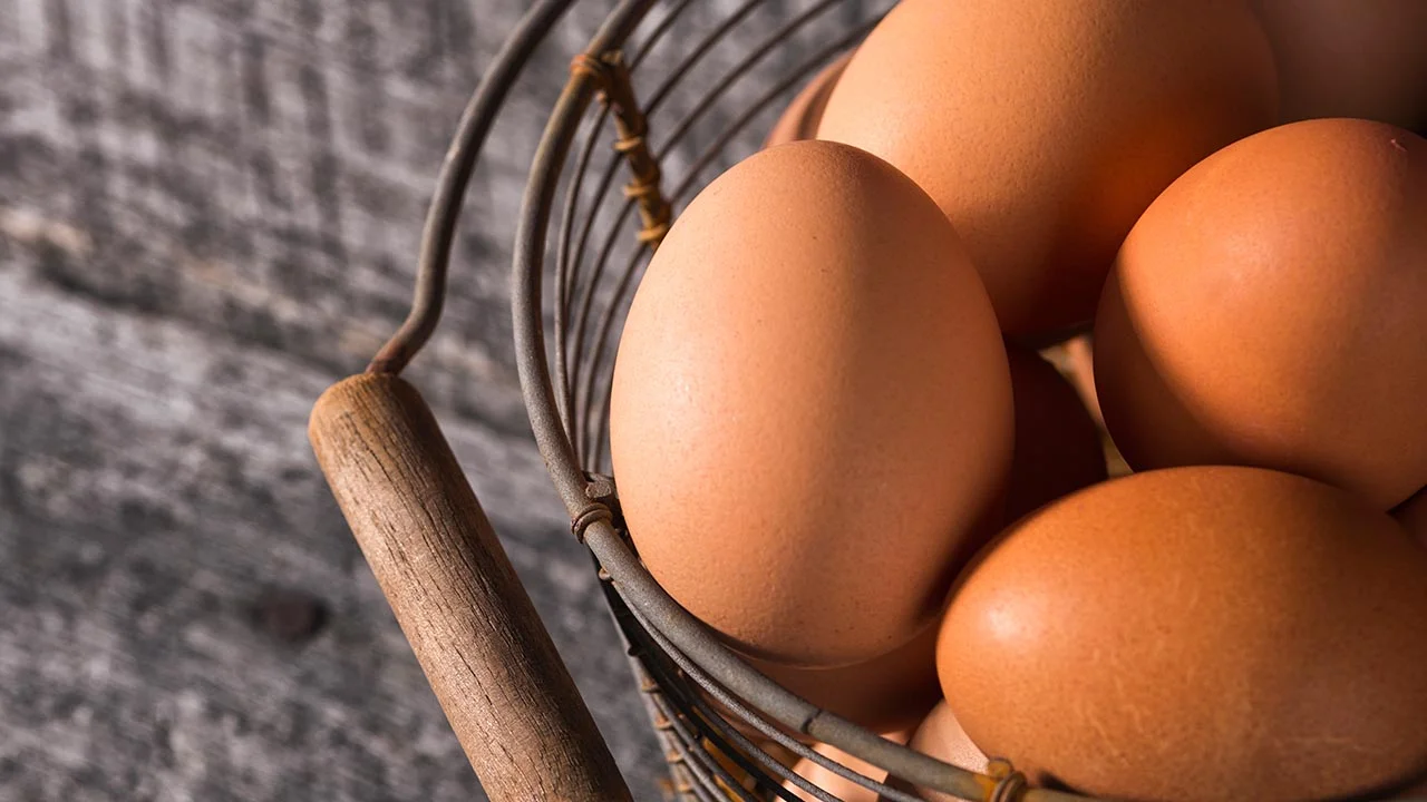 Eggs – An Enduring And Exceptional Source Of Nutrition