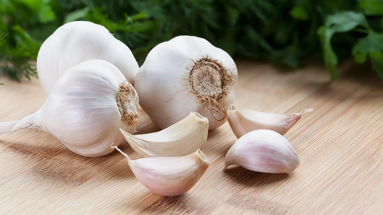 Garlic – Nature’s Medicinal Gem