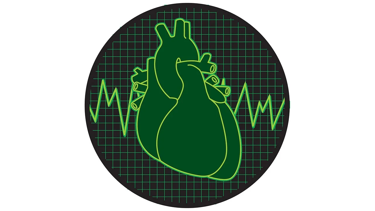 What Does It Mean When Our Hearts “Murmur?”