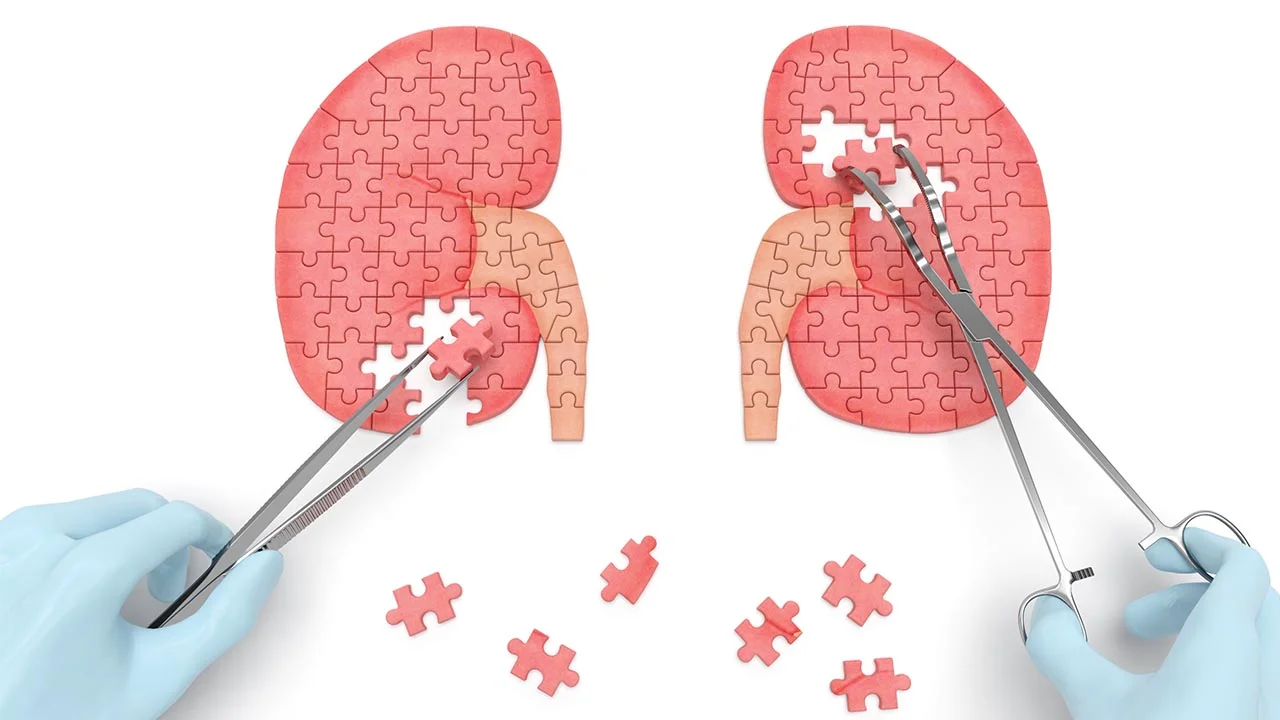 Here’s why keeping your kidneys healthy is so important