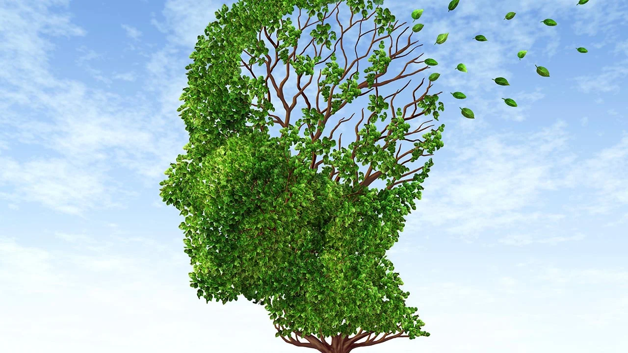 Is it Alzheimer's, Or Are You Just Getting Older?