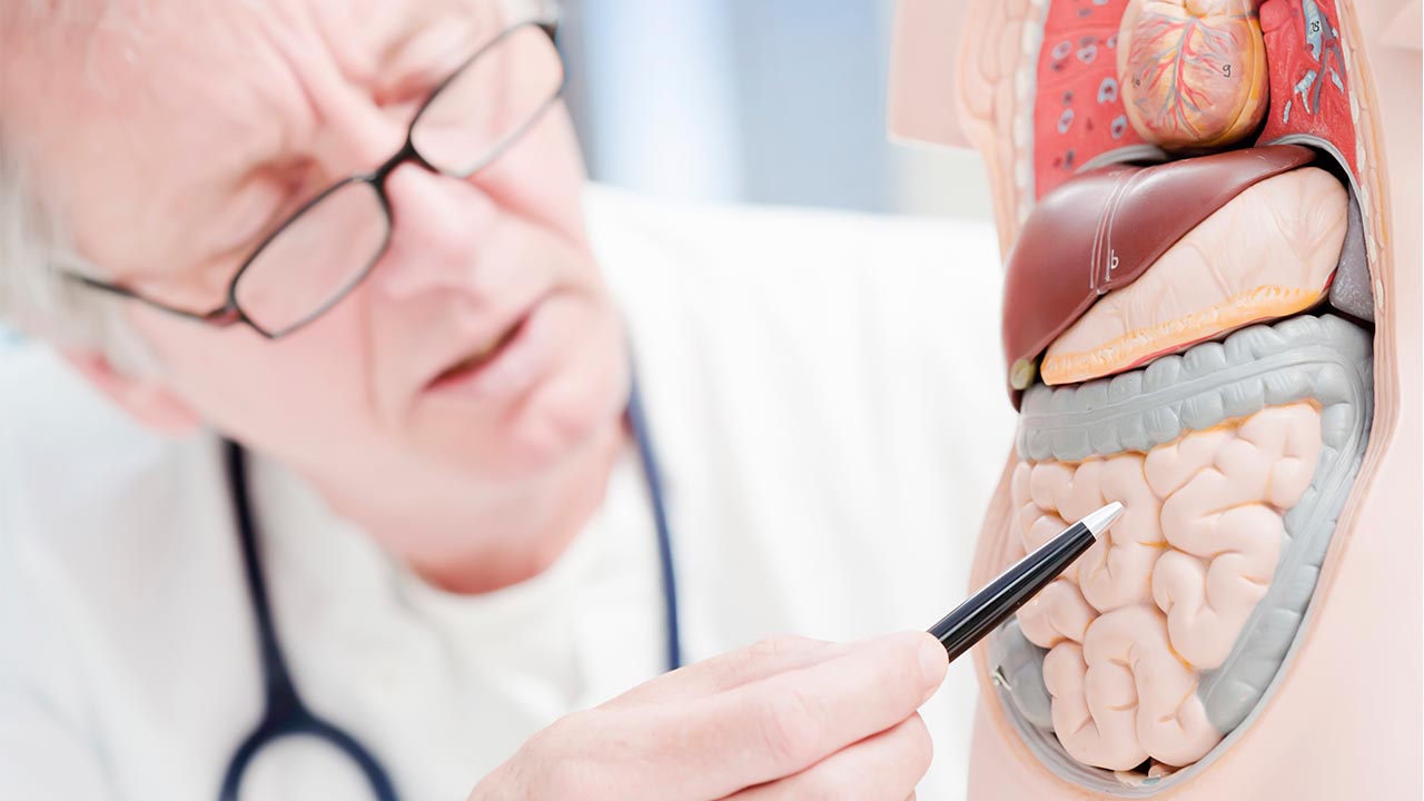 Gut Feelings: Everything Impacts our Intestines