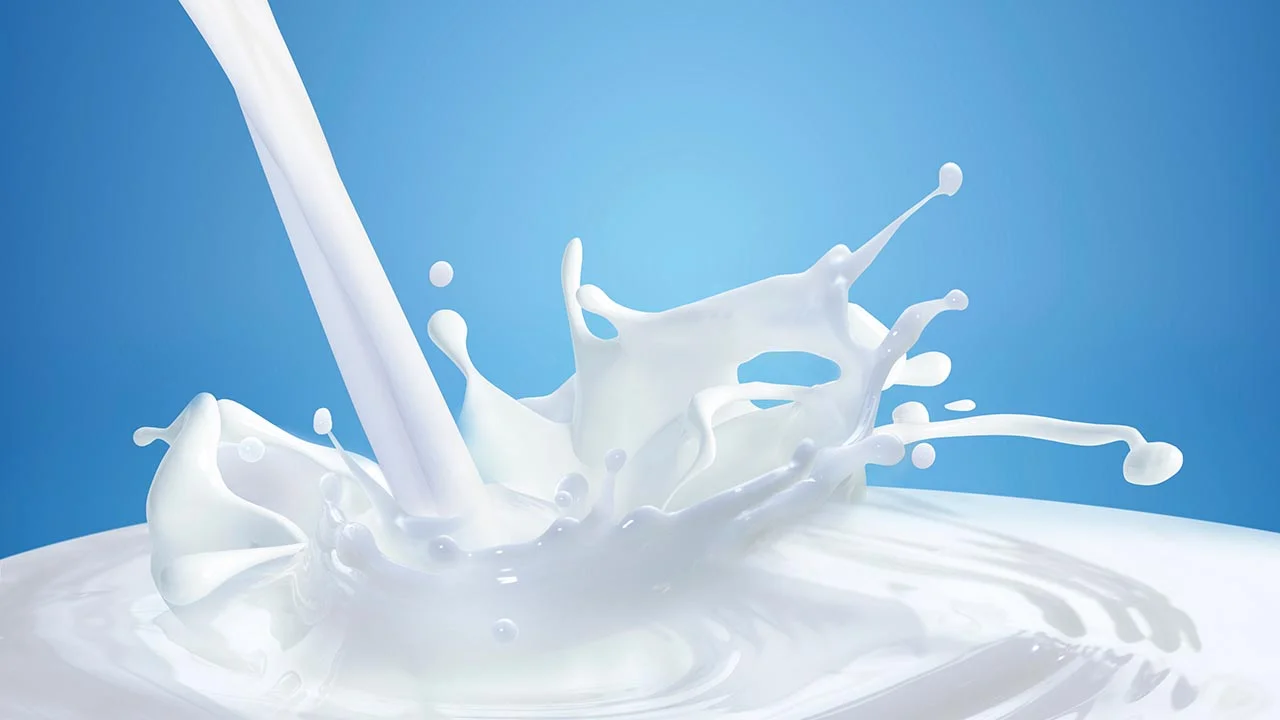 Which to buy: skim, 2%, or whole milk?