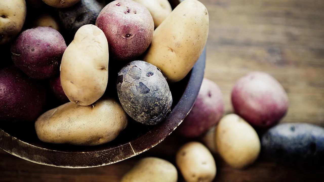 Potato Wars: Red vs. White